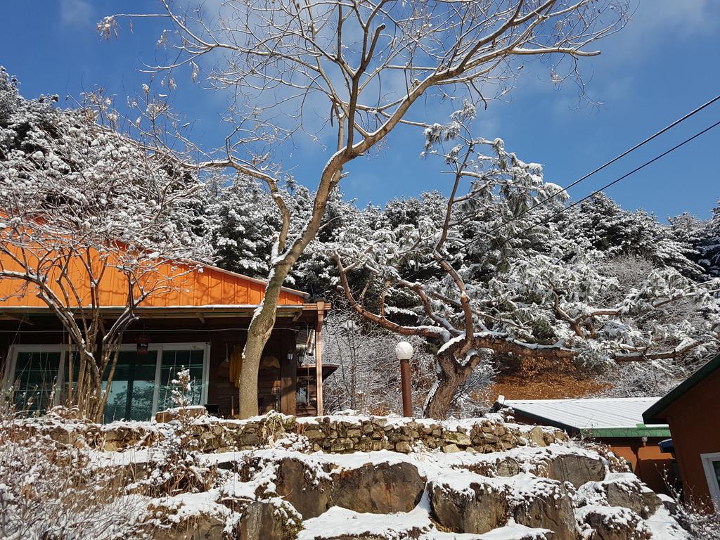 Bluesky Pension Pocheon Luaran gambar