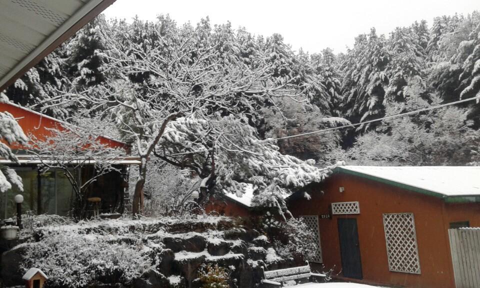 Bluesky Pension Pocheon Luaran gambar
